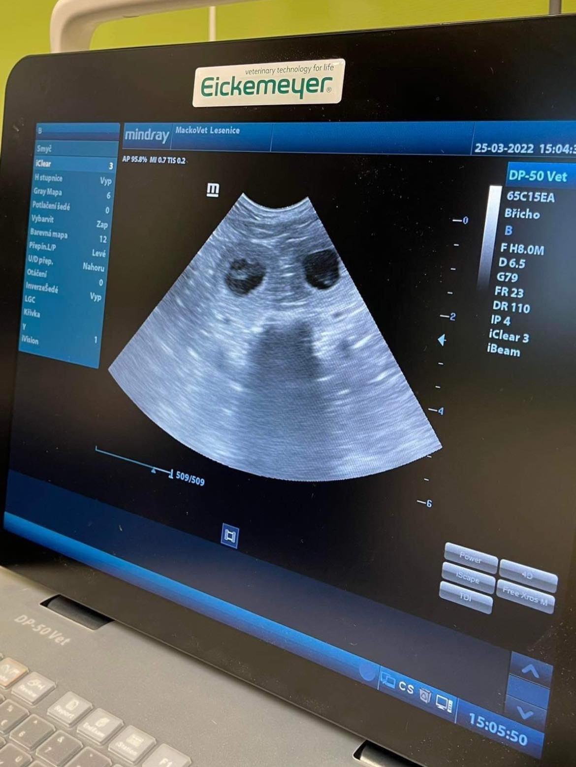 Örömmel jelentjük be, hogy május elejére kiskutyákat várunk