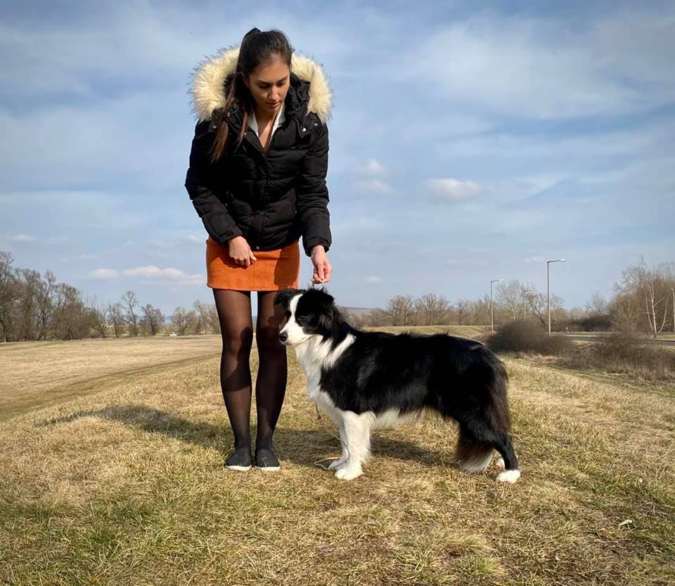 2020.02.16 Fehova Winterdogshow