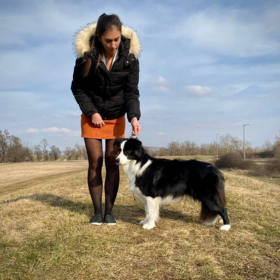 2020.02.16 Fehova Winterdogshow