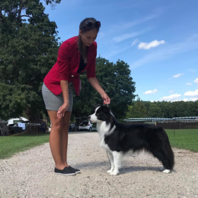 2019.08.17. Devecser Pásztor és Juhászkutya dogshow