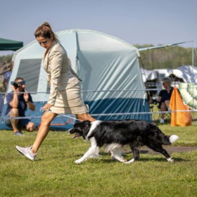 3 X CACIB Jakabszállás, Kecskemét - 2023. szeptember 8-9-10.