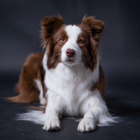 Borders From Riverside Angel Falls „Missey” ma egy hosszú, de sikeresen napon van túl