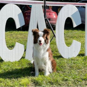 Missey duplázott a hétvégén, így a mai győzelemmel már a Serbian Champion címet is büszkén viselheti