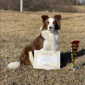 AAPKK Club Star 2021 – Missey