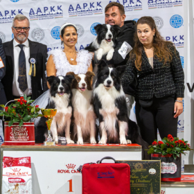 AAPKKE Special CAC for British and Australian shepherd breeds 2023. november 18.