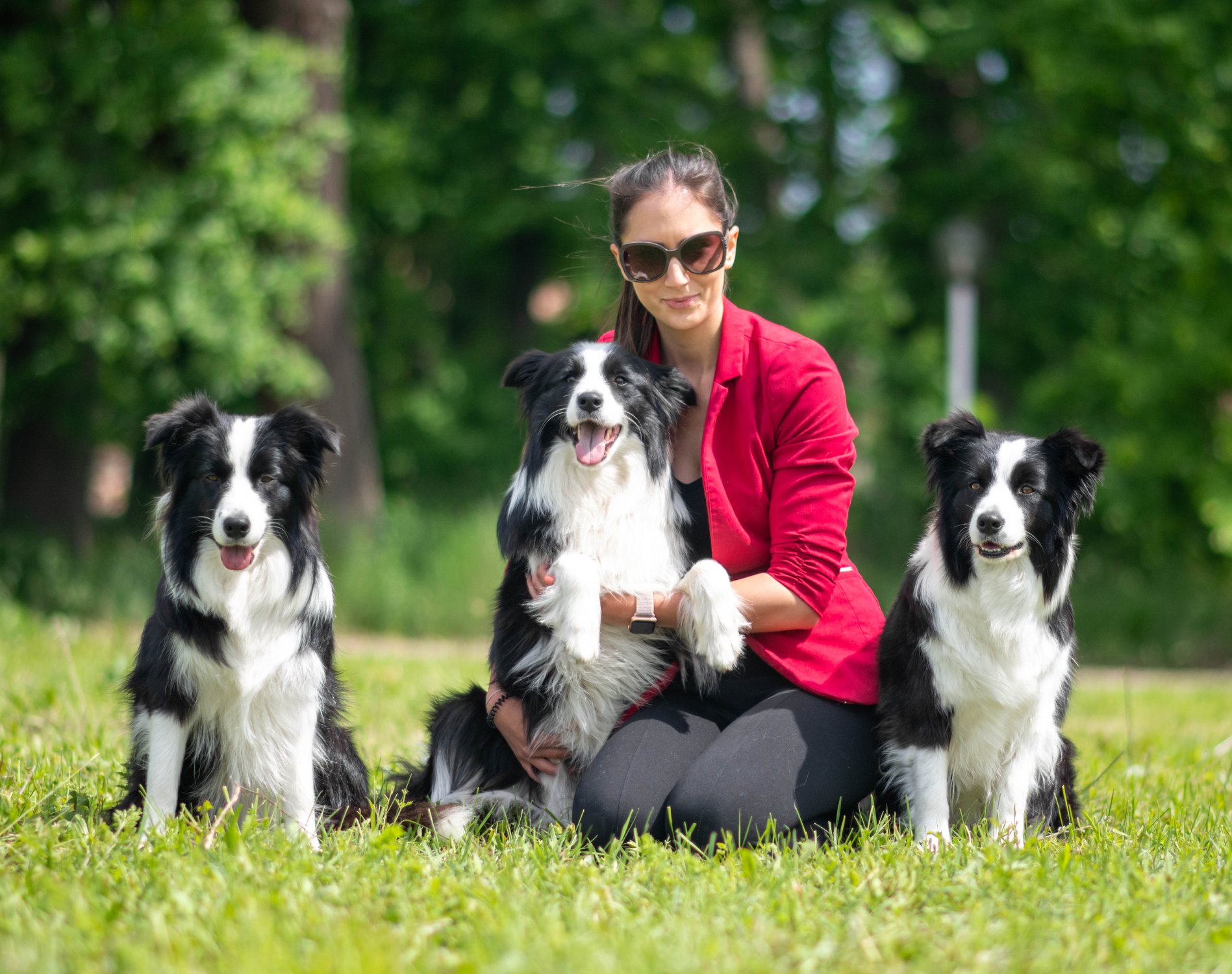 Timisoara Traditional Trophy