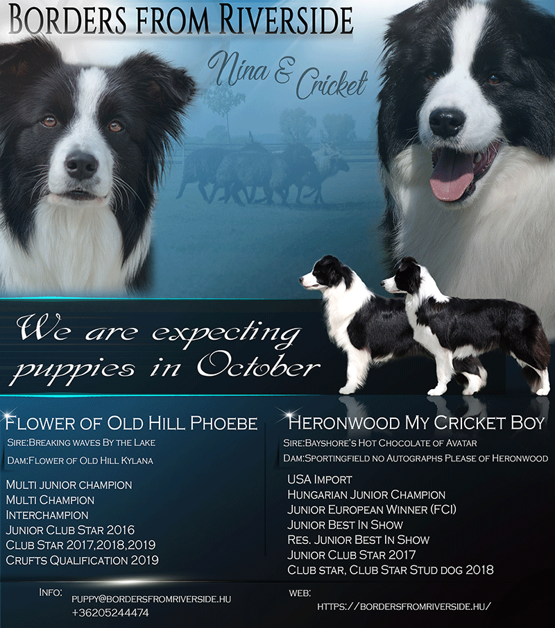 Fedeztetés 2019.08.03.