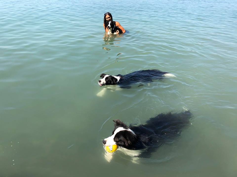 Sajkodi Öböl kiruccanás