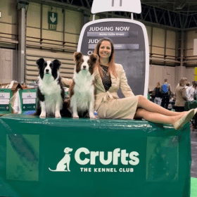 Mi is ott voltunk a híres zöld szőnyegen – Crufts 2025