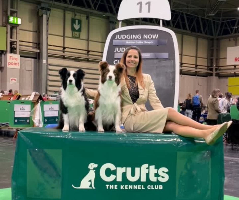 Mi is ott voltunk a híres zöld szőnyegen – Crufts 2025