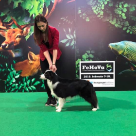 FeHoVa Winterdogshow