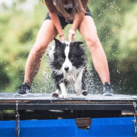 Nyári Frisbee Kupa és Dog Diving