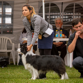 3 CACIB Hódmezővásárhely - 2023. október 20 - 21 - 22