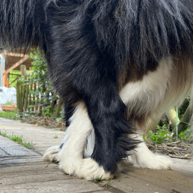 Izgalmas hírek - érkezik az E-alom