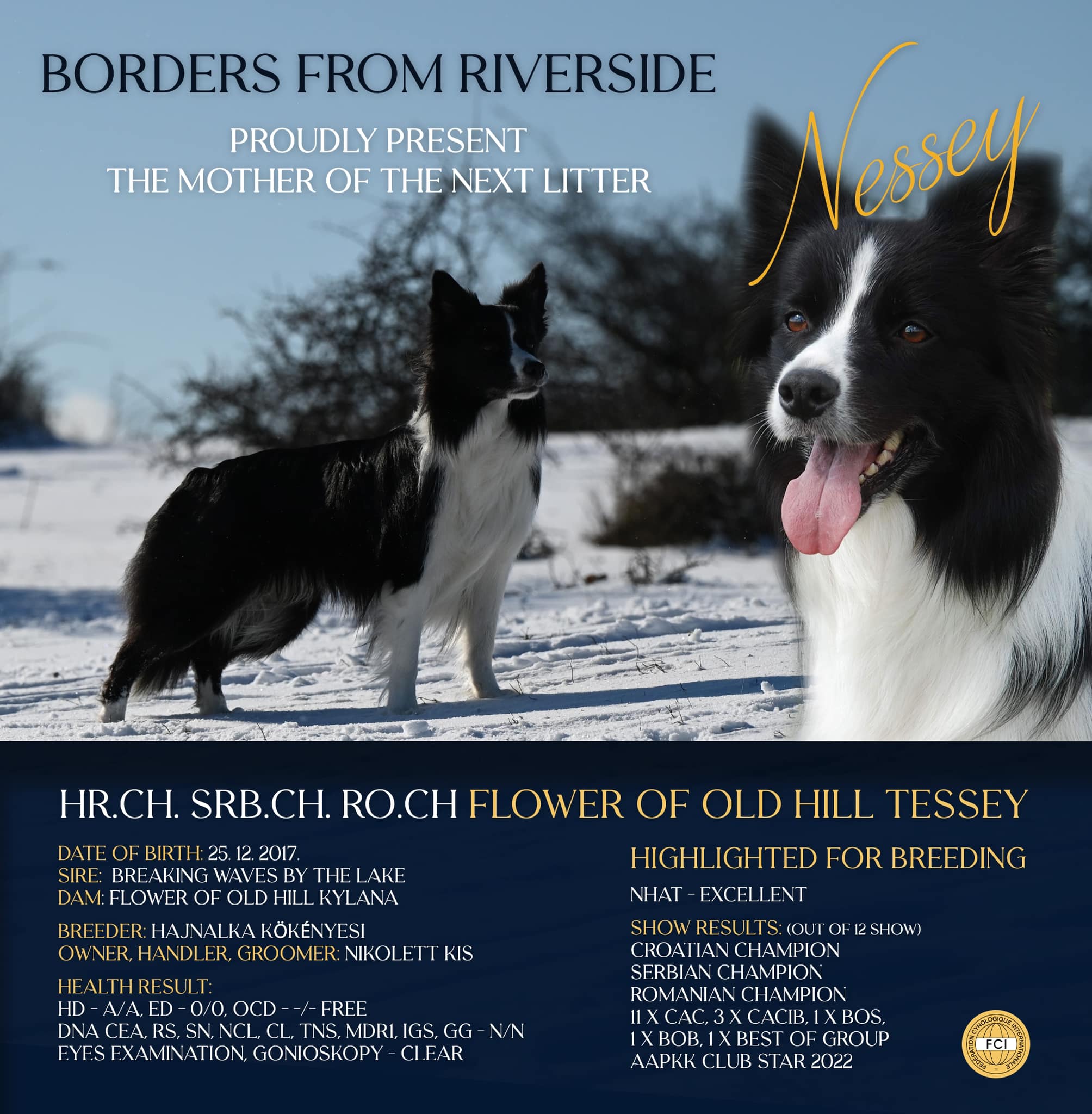 Kiskutyákat várunk 2023 március elejére!