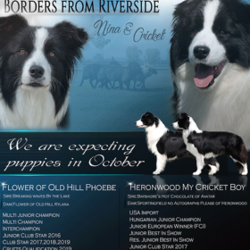 Fedeztetés 2019.08.03.