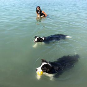 Sajkodi Öböl kiruccanás