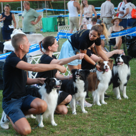 Sárvár 3 X CACIB 2023. július 14-16, és HCSH Klub kiállítás