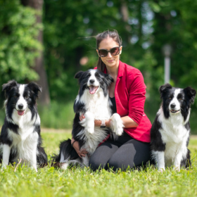 Timisoara Traditional Trophy